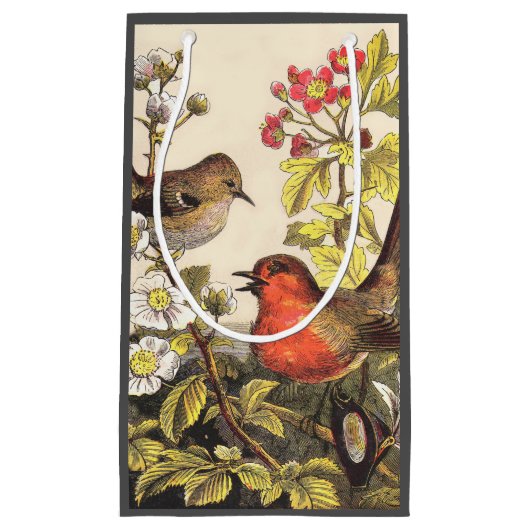 Spring Robin Birds Red Vogelbeobachtung Kleine Geschenktüte (Vorderseite)