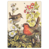 Spring Robin Birds Red Vogelbeobachtung Klemmbrett (Rückseite)