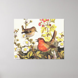 Spring Robin Birds Red Vogelbeobachtung Leinwanddruck