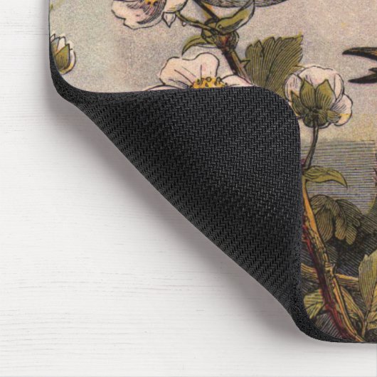 Spring Robin Birds Red Vogelbeobachtung Mousepad (Ecke)