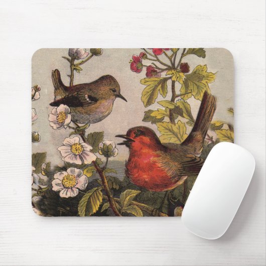 Spring Robin Birds Red Vogelbeobachtung Mousepad (Mit Mouse)