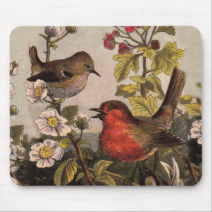 Spring Robin Birds Red Vogelbeobachtung Mousepad