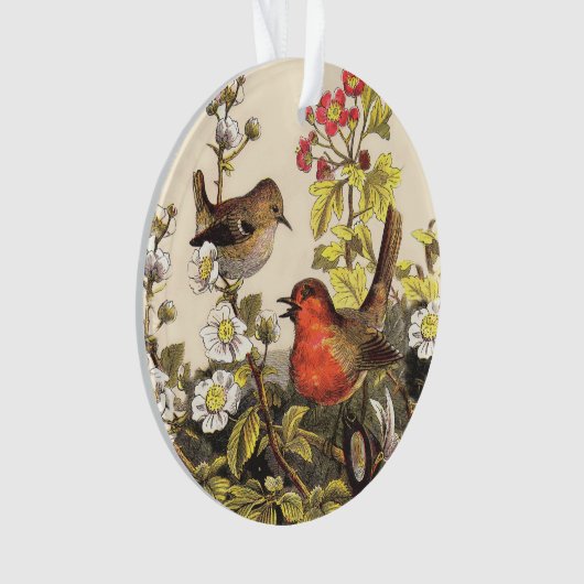 Spring Robin Birds Red Vogelbeobachtung Ornament (Vorderseite)