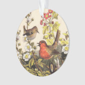 Spring Robin Birds Red Vogelbeobachtung Ornament (Vorderseite)
