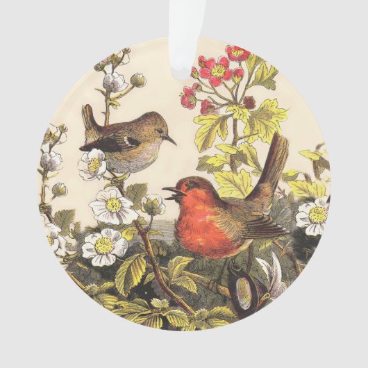 Spring Robin Birds Red Vogelbeobachtung Ornament (Vorderseite)