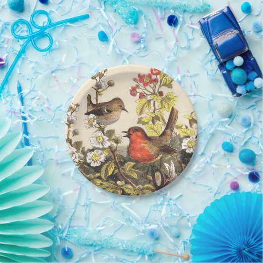 Spring Robin Birds Red Vogelbeobachtung Pappteller (Party)