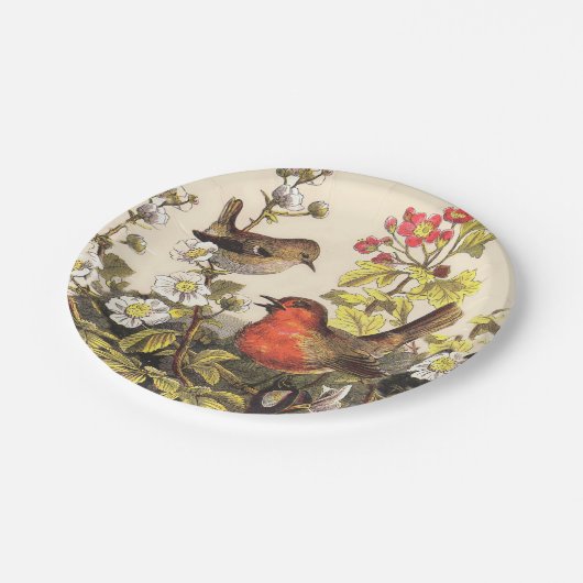 Spring Robin Birds Red Vogelbeobachtung Pappteller (Schrägansicht)