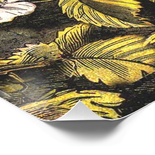 Spring Robin Birds Red Vogelbeobachtung Poster (Ecke)