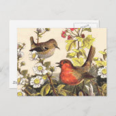 Spring Robin Birds Red Vogelbeobachtung Postkarte (Vorne/Hinten)