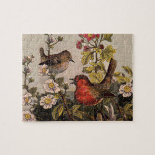 Spring Robin Birds Red Vogelbeobachtung Puzzle