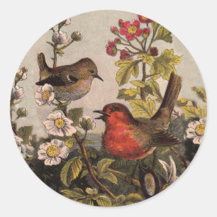 Spring Robin Birds Red Vogelbeobachtung Runder Aufkleber