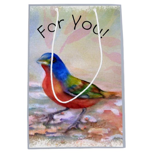 Spring Robin Mittlere Geschenktüte (Vorderseite)