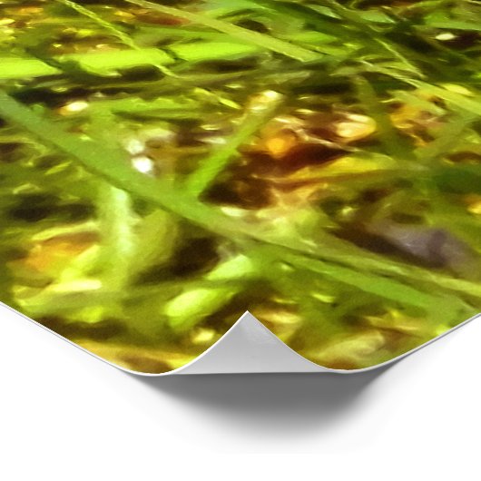 Spring Robin Poster (Ecke)