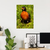 Spring Robin Poster (Heimbüro)