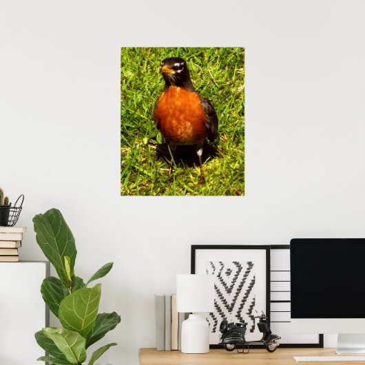 Spring Robin Poster (Heimbüro)