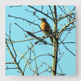 Spring Robin Quadratische Wanduhr