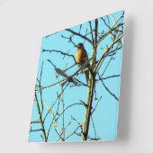 Spring Robin Quadratische Wanduhr (Winkel)