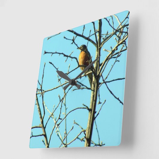 Spring Robin Quadratische Wanduhr (Winkel)
