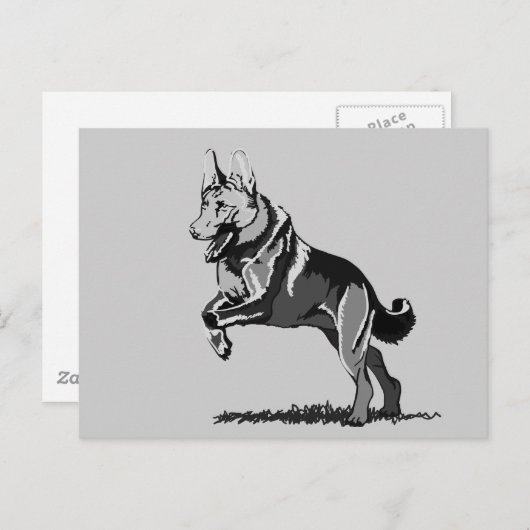 Spring Schäferhund Postkarte (Vorne/Hinten)