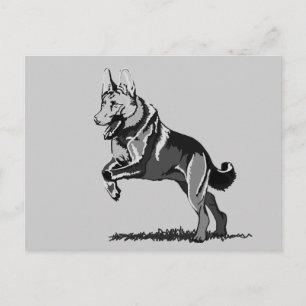 Spring Schäferhund Postkarte