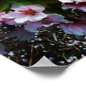 SPRING SCHAUTY JAPANESE MAGNOLIA Plakat (Ecke)