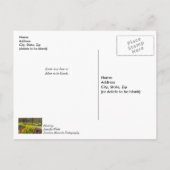 Spring Season Flower Garden Get Well Soon Postkarte (Rückseite)