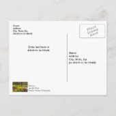 Spring Season Flower Garden Thank You Postcard Postkarte (Rückseite)