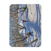 Spring Snow Newhaven Derbyshire 2008 Magnet (Vertikal)
