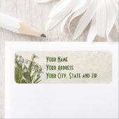 Spring Snowdrops (Insitu)