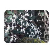 Spring Snowdrops Flexible Foto Magnet (Horizontal)