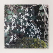 Spring Snowdrops Jigsaw Puzzle (Horizontal)