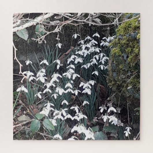Spring Snowdrops Jigsaw Puzzle (Vertikal)