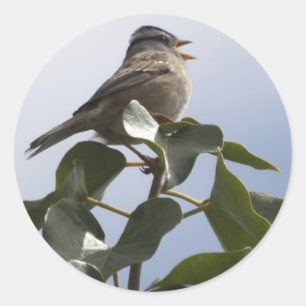 SPRING SONG BIRD Collection Runder Aufkleber