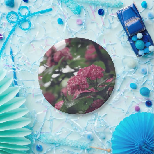 Spring Sprung Custom Paper Tellers 7 in Pappteller (Party)