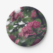 Spring Sprung Custom Paper Tellers 7 in Pappteller (Vorderseite)