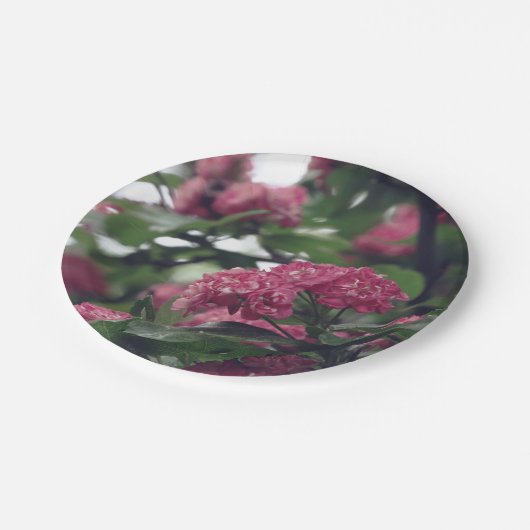 Spring Sprung Custom Paper Tellers 7 in Pappteller (Schrägansicht)