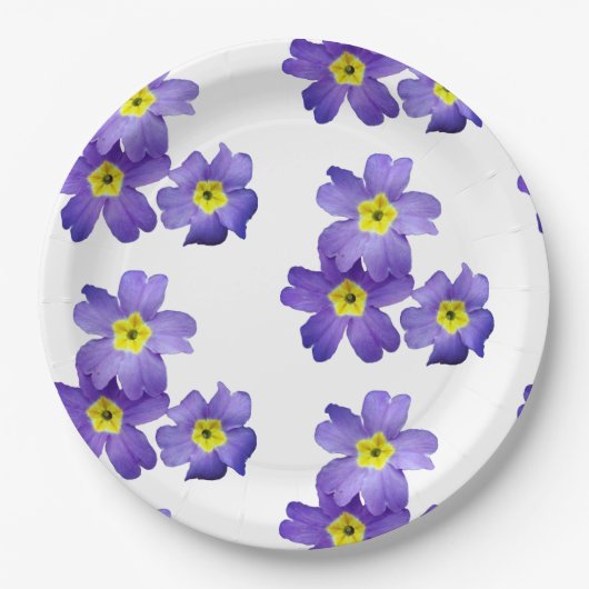 Spring Sprung Paper Teller 9 (Vorderseite)