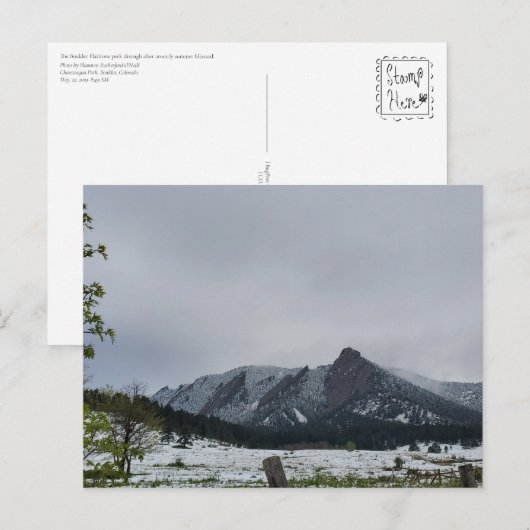 Spring Stubble Boulder Flatirons Postkarte (Vorne/Hinten)