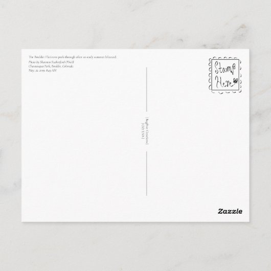 Spring Stubble Boulder Flatirons Postkarte (Rückseite)