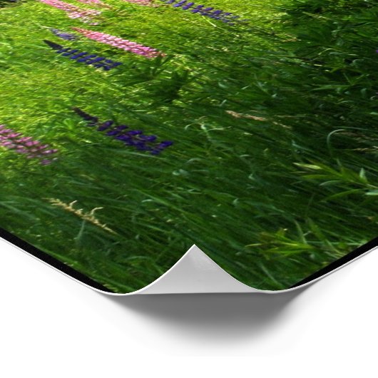 Spring Symphony - ee cummings poster (Ecke)