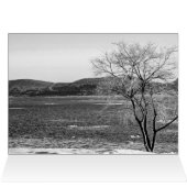 Spring Thaw, Steamboat Dock (Innenansicht Horizontal (Oben))