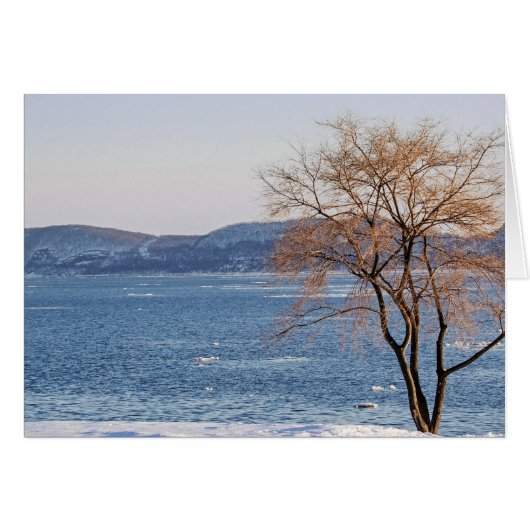 Spring Thaw, Steamboat Dock (Vorderseite (Horizontal))