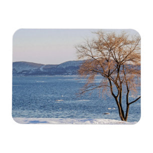 Spring Thaw, Steamboat Dock Magnet