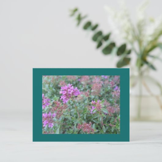 Spring Thyme Postcard Postkarte (Stehend Vorderseite)
