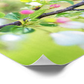 Spring Time Bird Poster (Ecke)