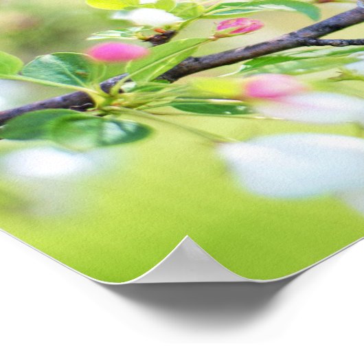 Spring Time Bird Poster (Ecke)