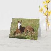 Spring time foal karte (Gelbe Blume)