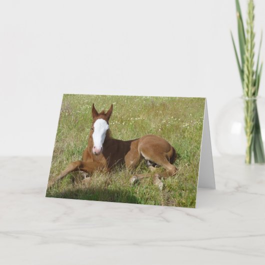 Spring time foal karte (Vorderseite)