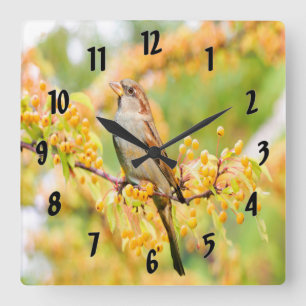 Spring Time Sparrow Quadratische Wanduhr