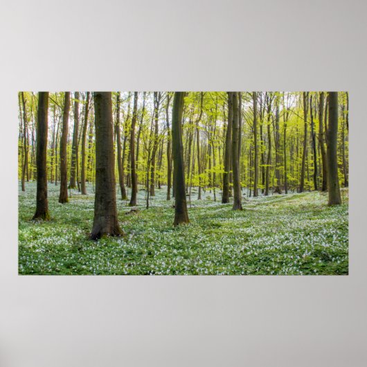 Spring to Life Poster (Vorne)
